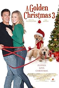 A Golden Christmas 3 (2012) watch-A Golden Christmas 3 (2012)