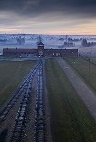 Auschwitz: Countdown to Liberation (2025) watch-Auschwitz: Countdown to Liberation (2025)