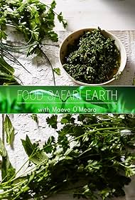 Food Safari Earth (2017) watch-Food Safari Earth (2017)