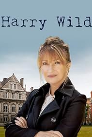 Harry Wild (2022) watch-Harry Wild (2022)