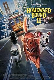 watch-Homeward Bound II: Lost in San Francisco (1996)