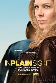 watch-In Plain Sight (2008)