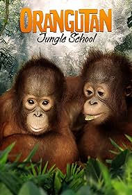 watch-Orangutan Jungle School (2019)
