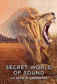 watch-Secret World of Sound with David Attenborough (2024)